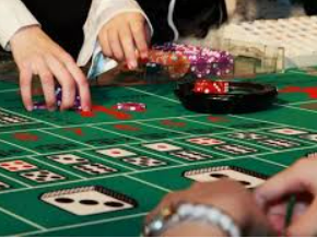 595cc开元官网版2024最新版